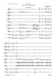 https://edizionimusicali.rai.it/catalogo/p-a-c-e/