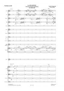https://edizionimusicali.rai.it/catalogo/la-fugitive/